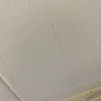 Dyo Boyanın Verdiği Mağduriyet