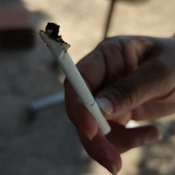Philip Morris Sigara İçinde Tütün Dışında Her Şey Var