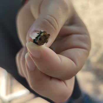 Philip Morris Sigara İçinde Tütün Dışında Her Şey Var