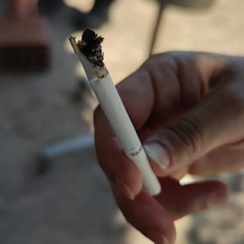 Philip Morris Sigara İçinde Tütün Dışında Her Şey Var