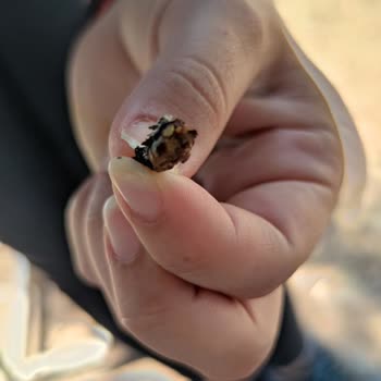 Philip Morris Sigara İçinde Tütün Dışında Her Şey Var