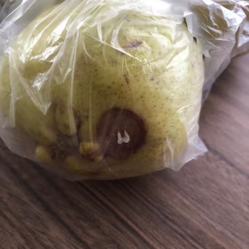 Carrefour SA Online'dan Gelen Ürünlerin Hijyeni Ve Kalitesi