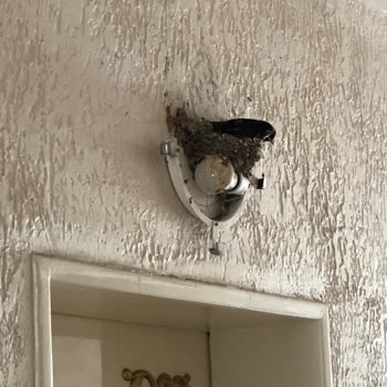 Etstur'Dan Hayatımdaki En Kötü Otel Konaklaması