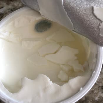 Sek Quark İçerisinde Küf Bulunan Yüksek Proteinli Ürünler