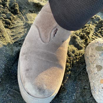 Nine West Süet Ayakkabılar Sıkıntı