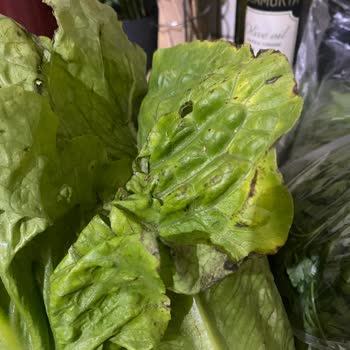 GetirÇarşı Çürük Meyve Sebze