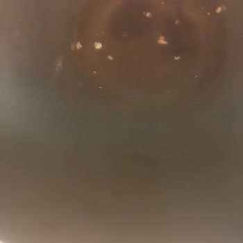 BİM Vip Mocha Kahve