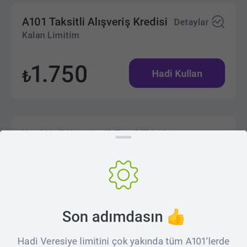 Hadi TOM Pay Hadi Veresiye Kredi Kullanımı Yapamıyorum