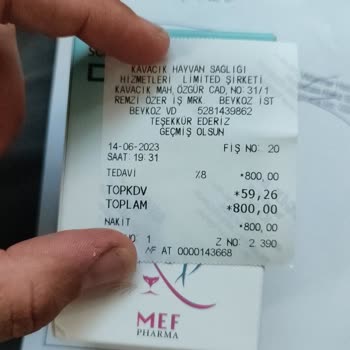 Gündem Pet İlgisizlik - Sözünde Durma - Hastalığı Üstlenmeme