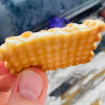 Torku Bisküvi Kıl Çıktı