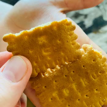 Torku Bisküvi Kıl Çıktı