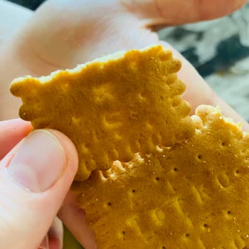 Torku Bisküvi Kıl Çıktı