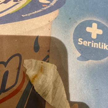 City's Nişantaşı Bizim Lokantada Salatada Böcek Çıktı