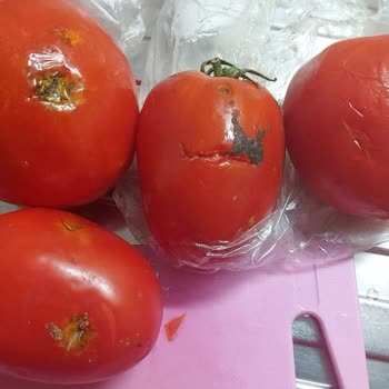 Migros Hasarlı Ürün Şikayet