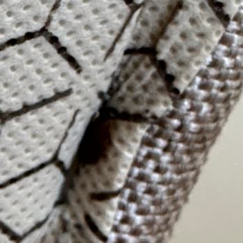 Bellona Bazalarda Tahtakurusu Problemi