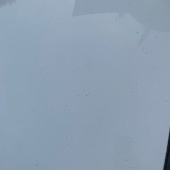 Peugeot Servisinde Bakım Yapılan Aracımın Kaportasında Oluşan Lekeler