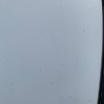 Peugeot Servisinde Bakım Yapılan Aracımın Kaportasında Oluşan Lekeler