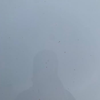 Peugeot Servisinde Bakım Yapılan Aracımın Kaportasında Oluşan Lekeler