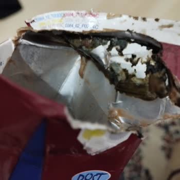 BİM Dost Kakaolu Süt Kutusunda Çok Kötü Bilinmeyen Tortular Çıktı