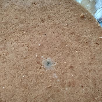 A101 Pandispanyadan Küf Çıktı