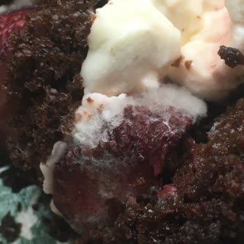 Mado Küflü Ürün Satışı Yapıyor