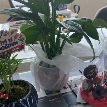 Çiçek Sepeti Onayladığım Çiçekle Giden Çiçek Çok Farklı