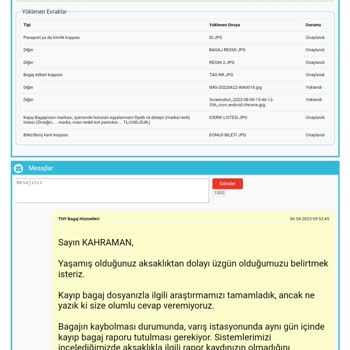 THY 2 Adet Bagajımızı Kaybetti Ve İlgilenmedi.