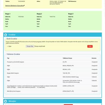 THY 2 Adet Bagajımızı Kaybetti Ve İlgilenmedi.