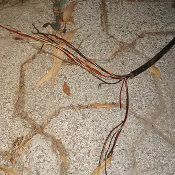 TTNET Arıza Randevularına Gelmiyor.