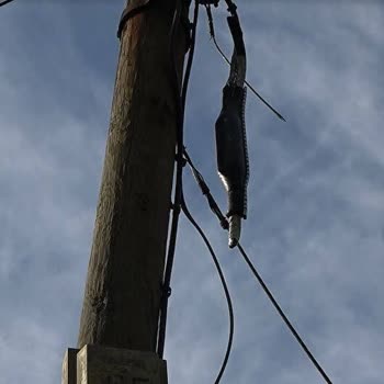 Türk Telekom İnternet Bağlantısı Sorunu