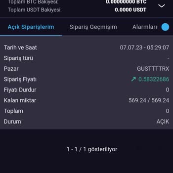 Bitexen Global Emir Açık Hatası