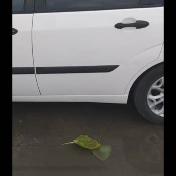 RS Servis Beylikdüzü 45 Gündür Aracım Onarıma Alınmadı!