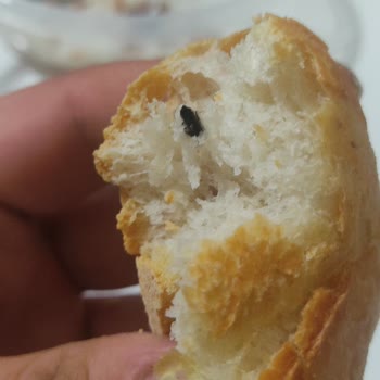 Tunç Taş Fırın Ekmekte Fare Dışkısı