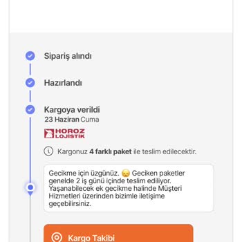 Horoz Lojistik Teslim Edilemeyen Kargo