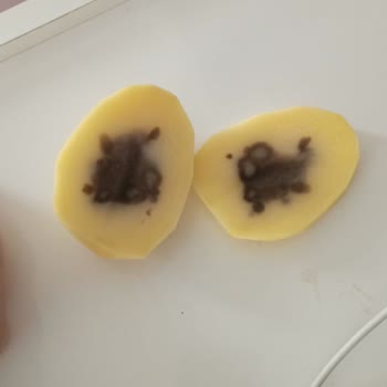 Şok Marketler Kötü Mal Satıyor