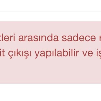 Ziraat Yatırım Borsa Otomatik Repo Sorunu