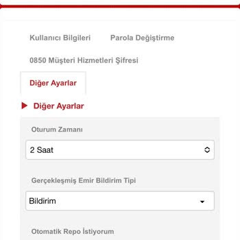 Ziraat Yatırım Borsa Otomatik Repo Sorunu