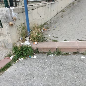 Yenimahalle Belediyesi'nin Şentepe'deki Temizlik Sorunu!