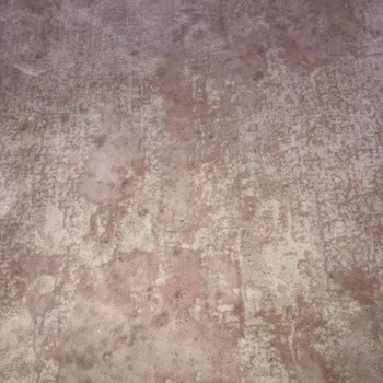 Karya Halı Yıkama (İzmir) Halı Lekesi Çıkmaması