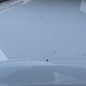 Uzay Oto Bakıma Verdiğim Aracı Kirleterek Teslim Etti