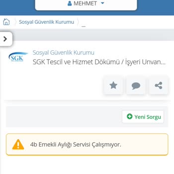 E Devlet SGK Hizmet Dökümü