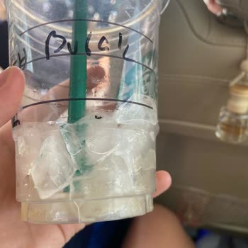 Starbucks Coffee Bardaktaki Böcek Sorunu