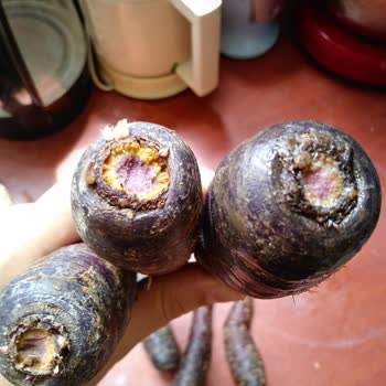 Tazedirekt'te Çürük, Küflü, Hem De Organikliği Şaibeli Ürünler!