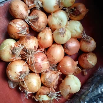 Tazedirekt'te Çürük, Küflü, Hem De Organikliği Şaibeli Ürünler!