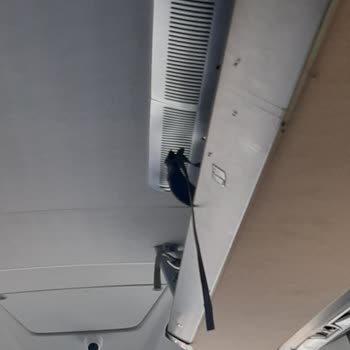 Varan Turizm Otobüs Bakımsızlığı Hakkında Ve Ücret İade Talebi