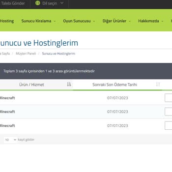 Rabisu Web Hosting Rabisu Sunucu Kiralama Hizmeti