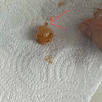 Getir Uygulamasından Söylenen Tada Marka Hazır Yemekler