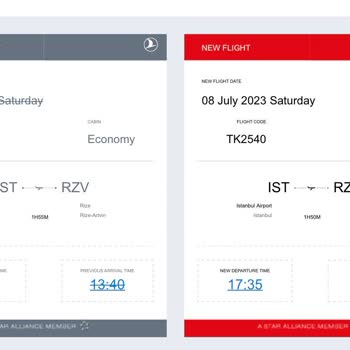 Türk Hava Yolları Rötar Sebebi İle Aktarma Uçağının Kaçırılması