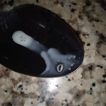 Mis Şoktan Aldığım Mis Sütten Böcek Çıktı ❗