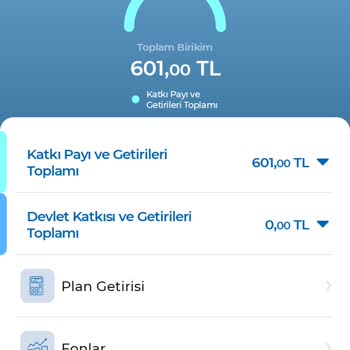 Anadolu Hayat Emeklilik Cayma Hakkımı Sonlandırmamak İçin Sistem Hatası Veriyor Deniliyor